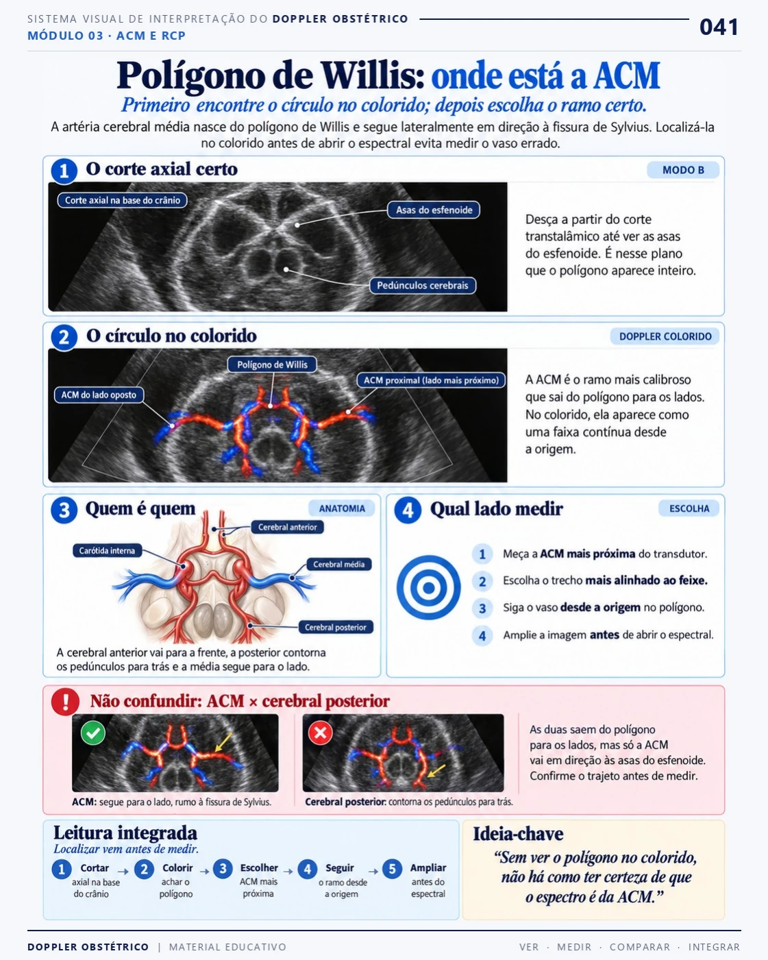 Página 41: Polígono de Willis: onde está a ACM. Trecho do PDF de Doppler Obstétrico e Fetal.